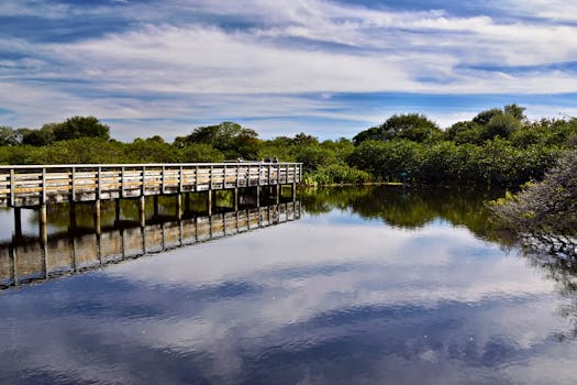 Delray Beach Hair Trends: Vibrant Colors, Eco-Friendly Salons & More